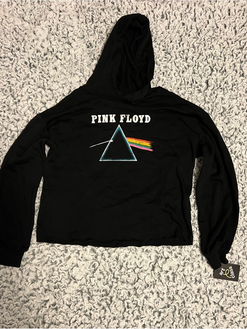 Art Class Pink Floyd Graphic crop Hoodie
